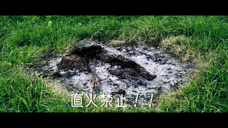 芝生の上で直接BBQをした後の残骸の画像